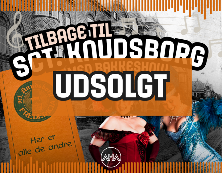 TILBAGE TIL SCT. KNUDSBORG